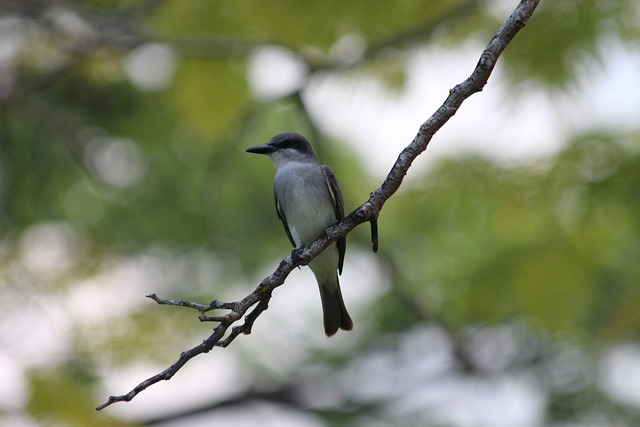 分钟骤降至